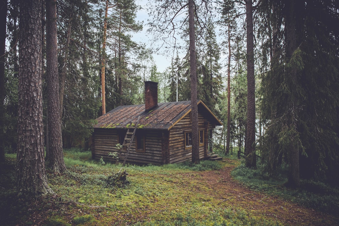 Photo Forest cabin